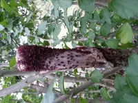20180910_190629.webp