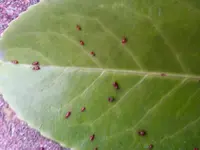 20180910_190812.webp