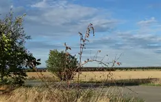 2018hrbst02.jpg
