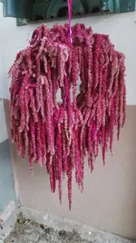 IMG_20180915_181818.webp