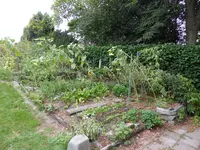P1100859Gemüsebeet.jpg