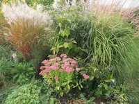 033 (2).webp