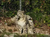 c058.webp