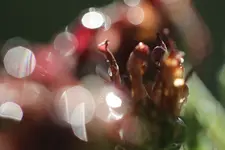 0M3A9781.webp