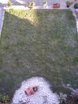 Krokusse_vergraben (2).JPG