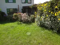DSC03680.webp