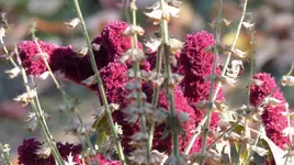 image002.webp