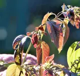 image004.webp