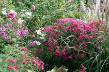 September8918j.webp