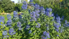 20180919_152549.png