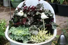Herbstzauber0118.webp