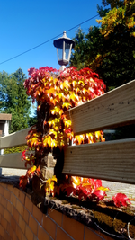 2018-09-16_11-32-12-1.webp