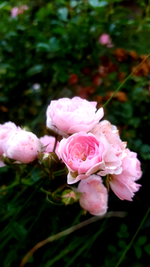 2018-09-19_14-50-00-1.webp