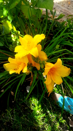 2018-09-16_13-21-53-1.webp