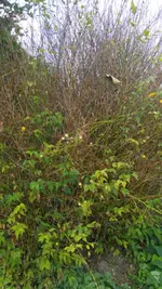 20180920_142251j.webp