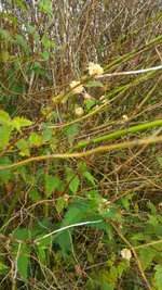 20180920_142315j.webp