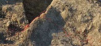 2018red19.webp