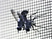 image001.webp