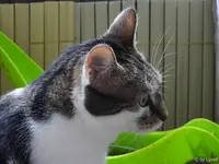 c001.webp