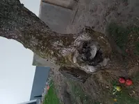 20180921_193801.webp