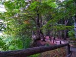 IMG_20180921_152430905_HDR-01.jpg