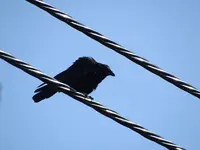 DSC04049.webp