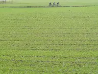 9ACEC572-6040-4AFE-ABAC-F53FDF880294.webp