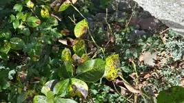 WP_20180922_15_20_21_Pro.jpg