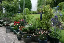 Terasse6817.webp