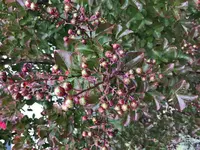 EFDBFB2D-0644-44CF-B3E9-040B91710807.webp