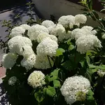 20180718_154746.jpg