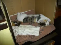 IMGP6844.webp