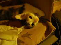 IMGP6845.webp