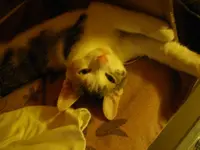 IMGP6848.webp