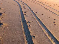 Lines (2).webp