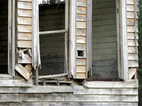 Lines (3).webp