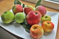 Äpfel aus dem Garten ohne Sortennamen.webp