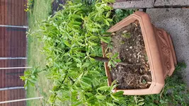20180923_110140.webp