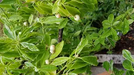 20180923_110157.webp