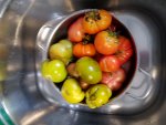 20180923_135247.jpg