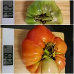20180923_175249.webp