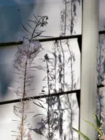 image005.webp