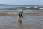 Elli in Blackpool.jpg