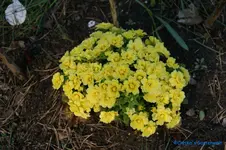 comp_DSC04754.webp
