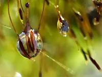 image001.webp