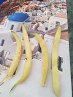 20180926_164535.jpg