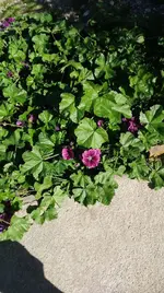 k-IMG_20180926_121740.webp