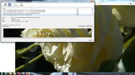 1538052196978.webp