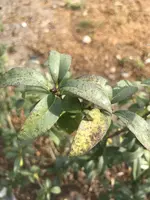 18-09-18 16-48-54 4556.webp