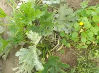 IMG_20180923_112747.webp